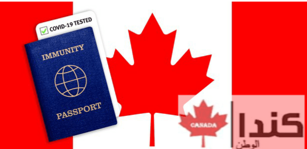 تم اختبار أكثر من 5000 مسافر جواً متجهين إلى كندا إيجابيين لـ كوفيد-19 منذ فبراير
